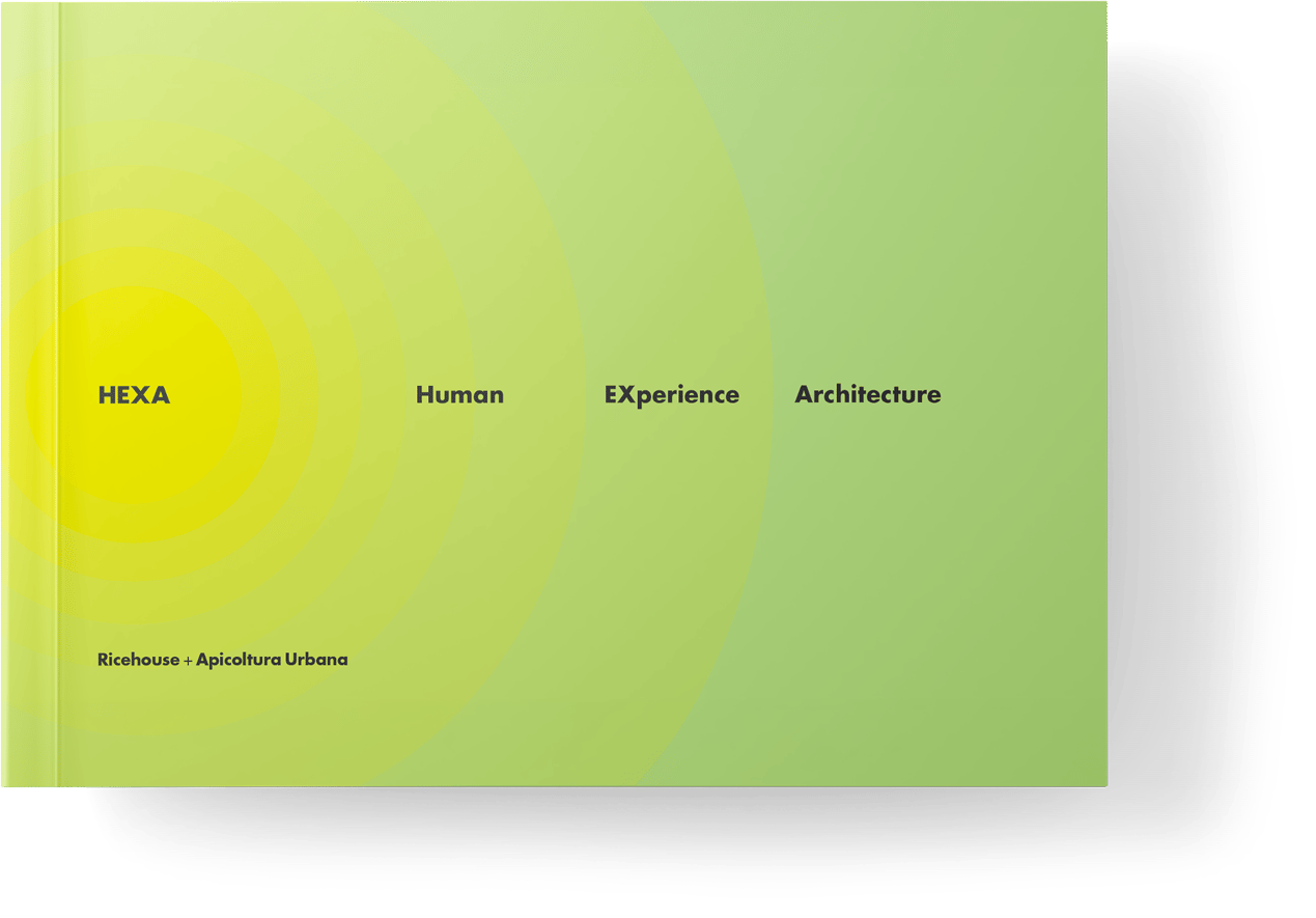 Mockup-catalog-hexa-cop