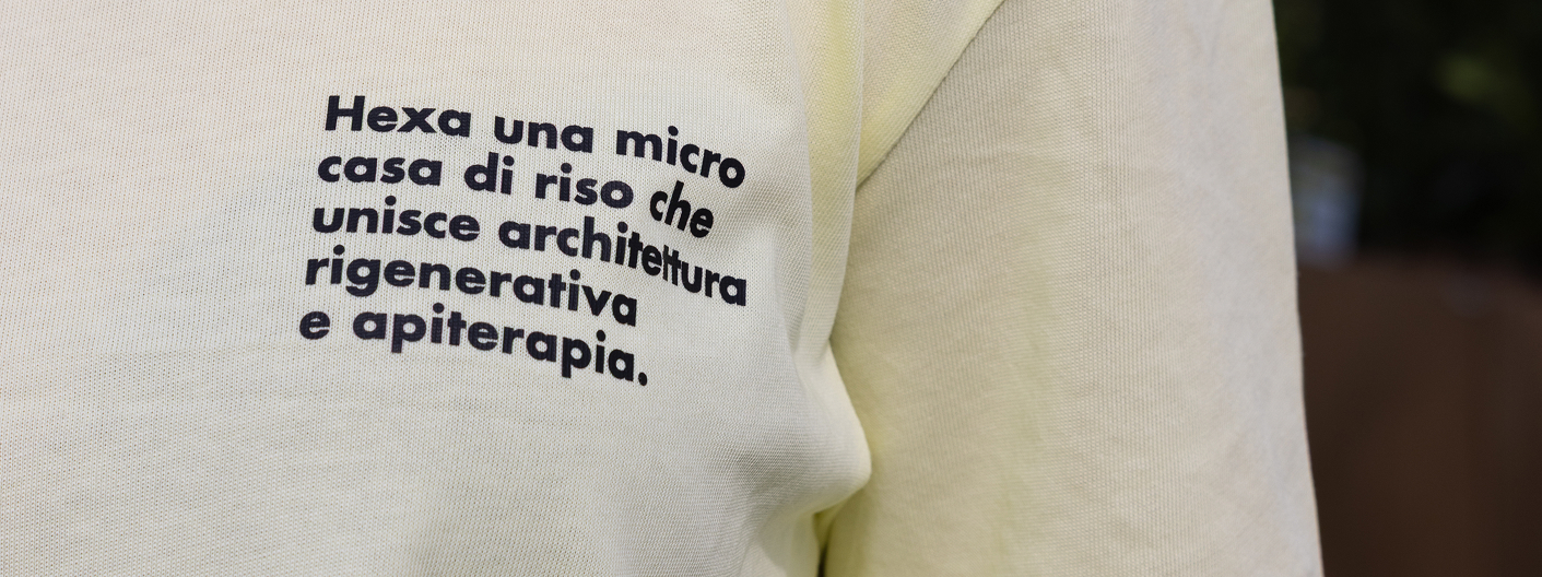 chi siamo hexa