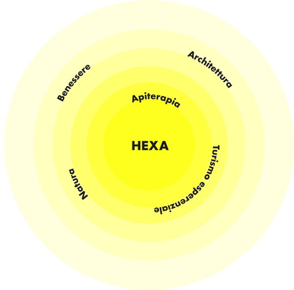 hexa-img-cerchio-testo